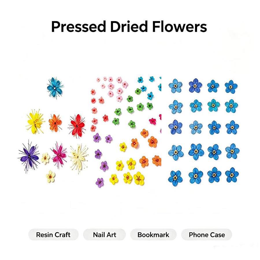Resin Art Baby - 60 pièces de petites fleurs séchées