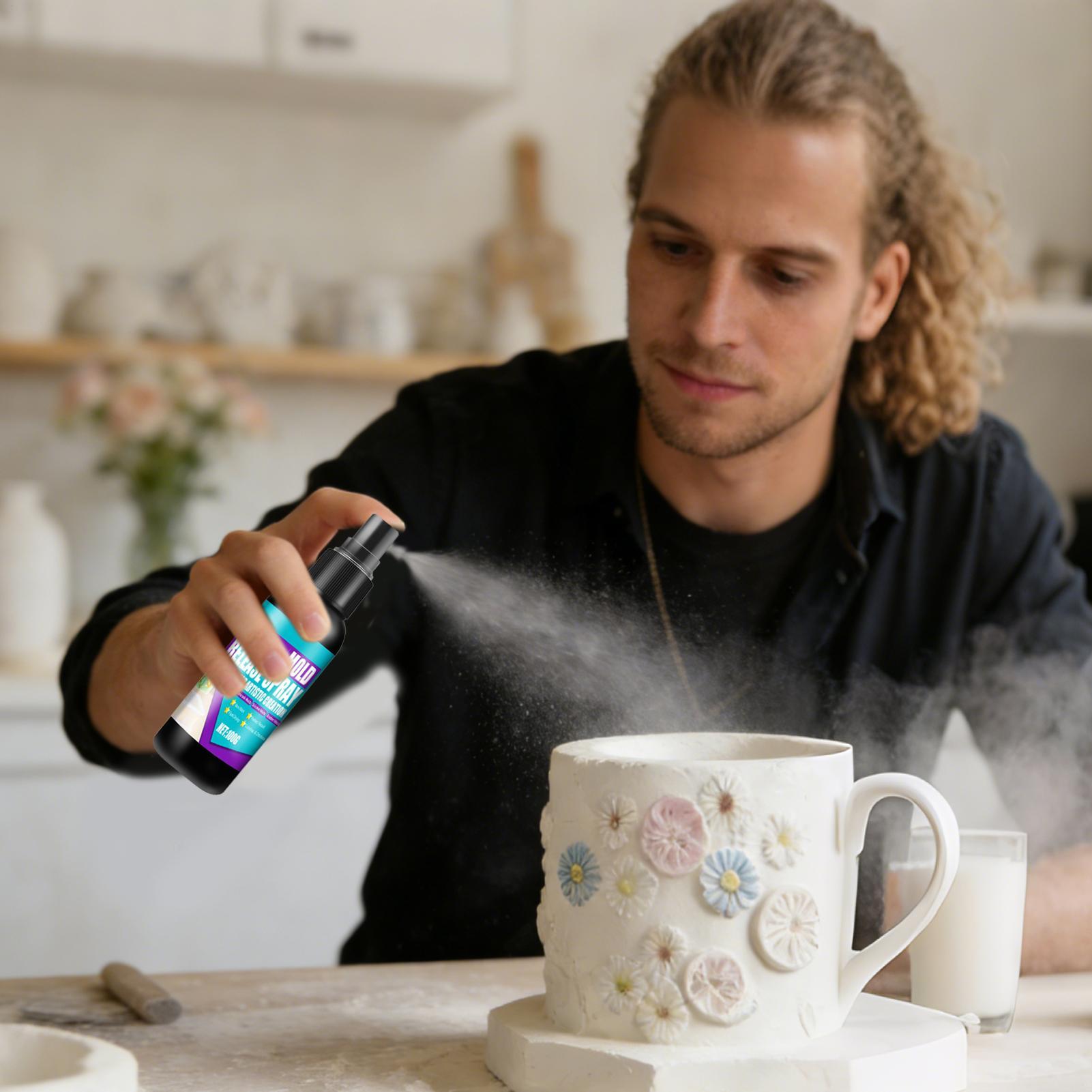 Spray de démoulage 100g, agent - Release Spray Silicone avis et prix